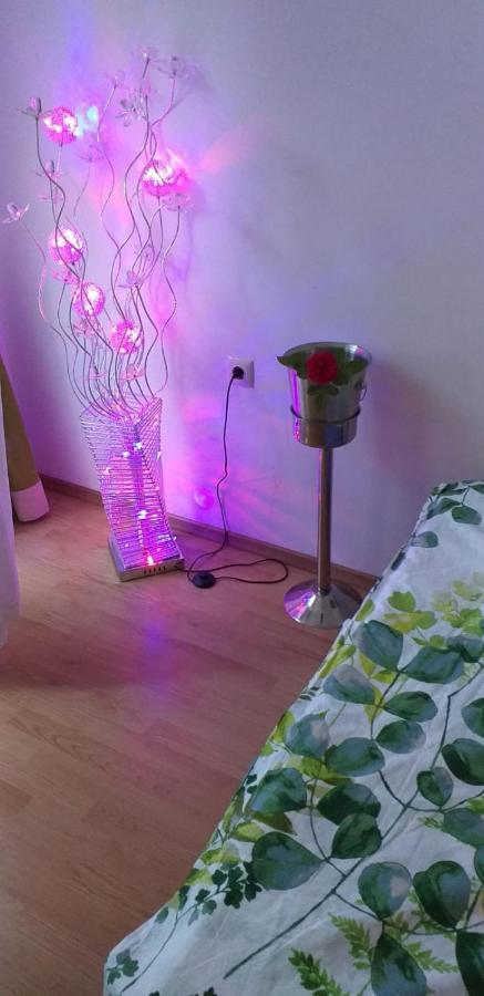 Aphrodite Rose Pantai Sunny Luaran gambar